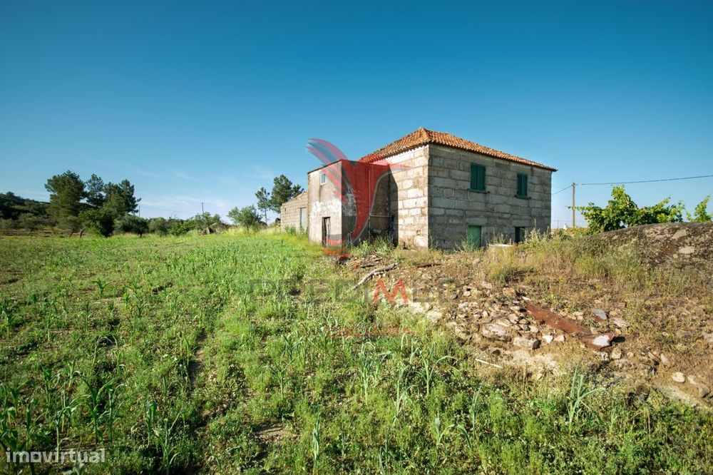 Quinta no concelho de Trancoso com + de 1.5 hectares
