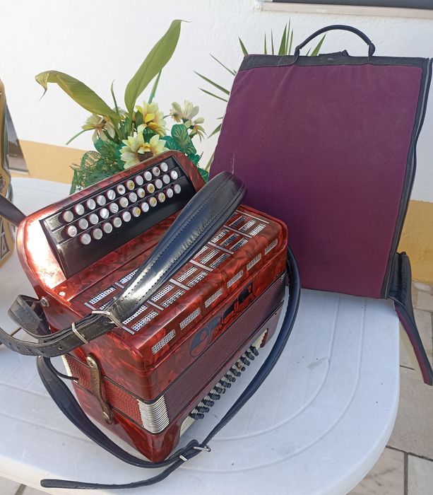 Acordeon Orca 2 voz com acessórios