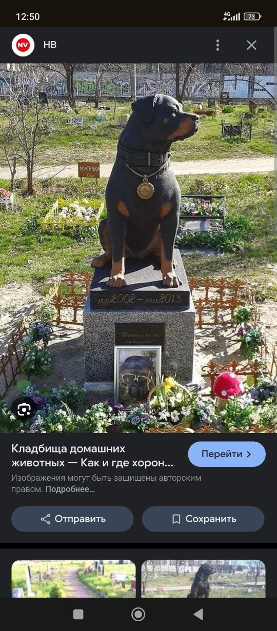 Захоронение домашних любимцев