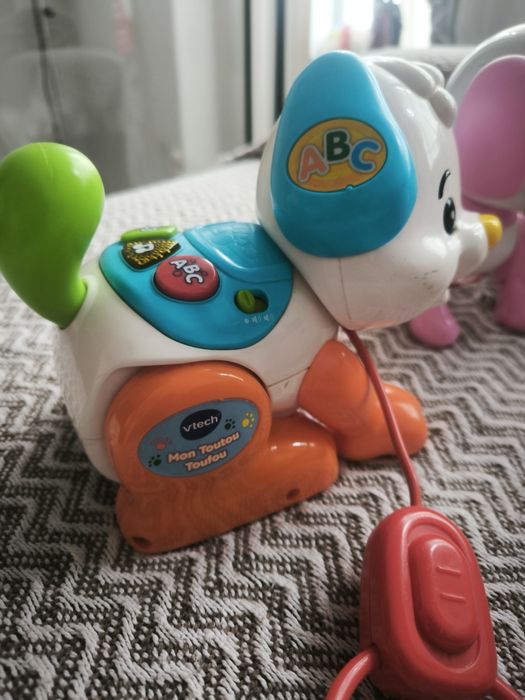 Robô verbaut, dog tou,tou gato de passeio