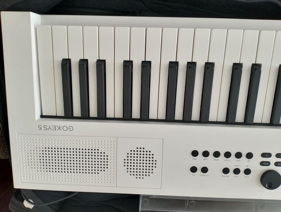 Синтезатор ROLAND GO KEYS 5