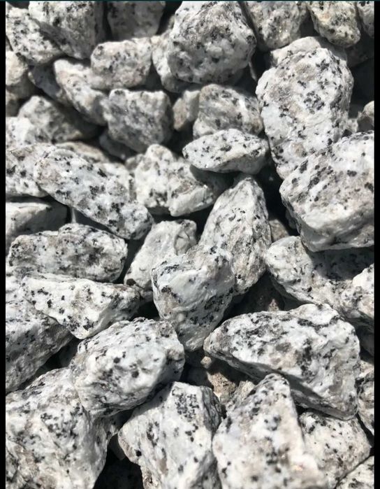 Promocjia! DALMATYŃCZYK 16-22 grani ##bazalt