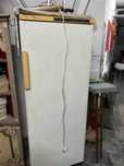 Arca congeladora vertical philips/Whilpool
