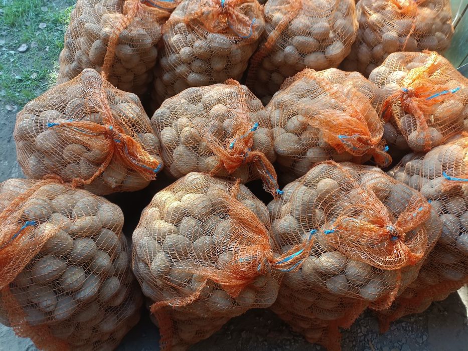 Sprzedam  sadzeniaki