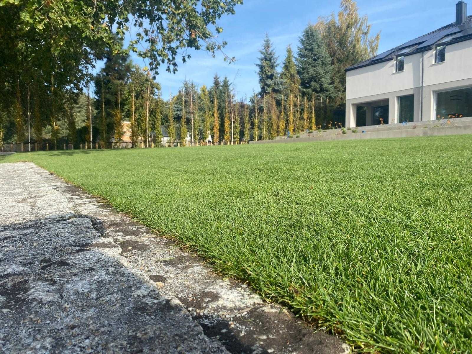 Trawa rozwijana z rolki