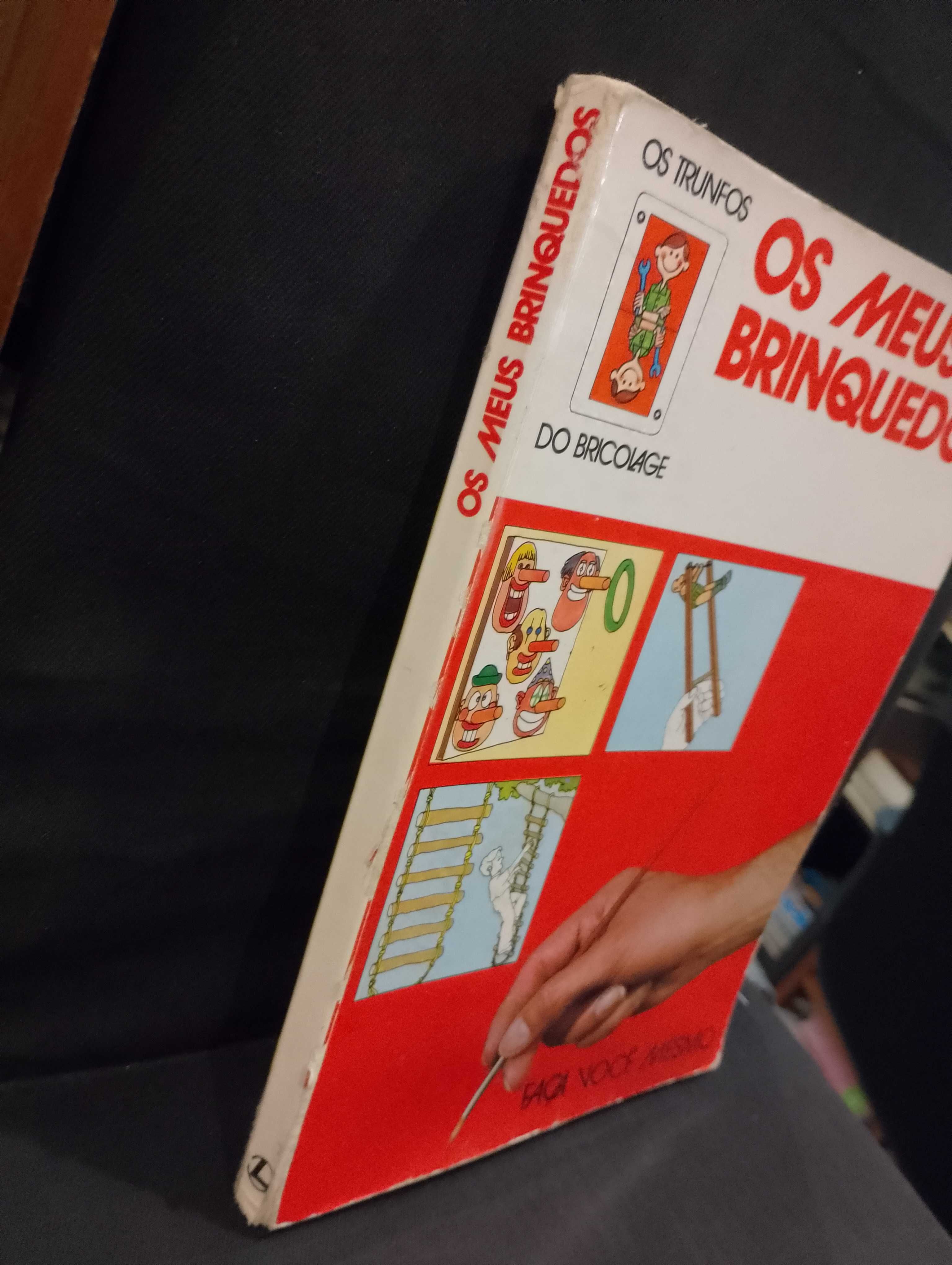 Os meus brinquedos - Faça você mesmo