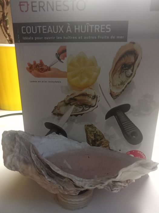 Для любителів устриць ножі набір