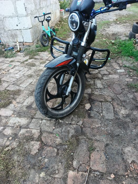 Продам Альфу Сабур