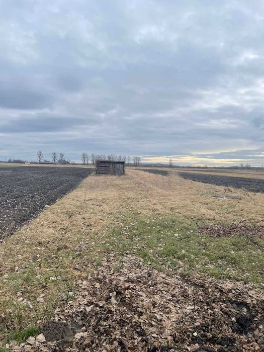 Земельна ділянка 15 сот., с. Сопошин