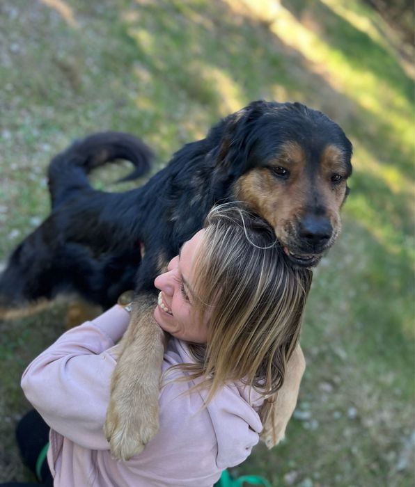 Klusia wyrzucona w lesie po latach stróżowania - adoptuj, uratuj