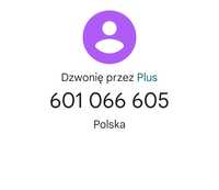 601 - 066 - 605 Plus złoty numer na kartę