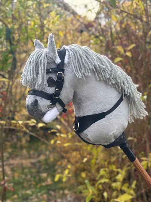 Hobby horse ze sprzętem