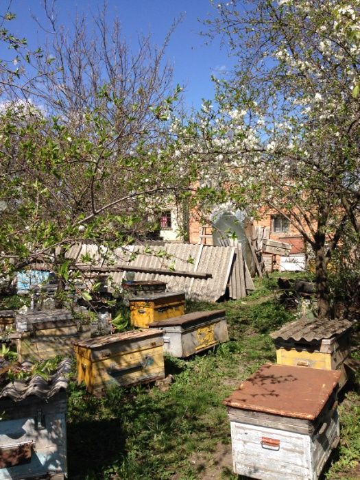 Вулики, рамки продам
