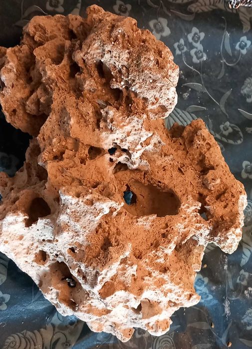 Pedra para aquário ou terrário