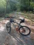 Rower MTB calvaro