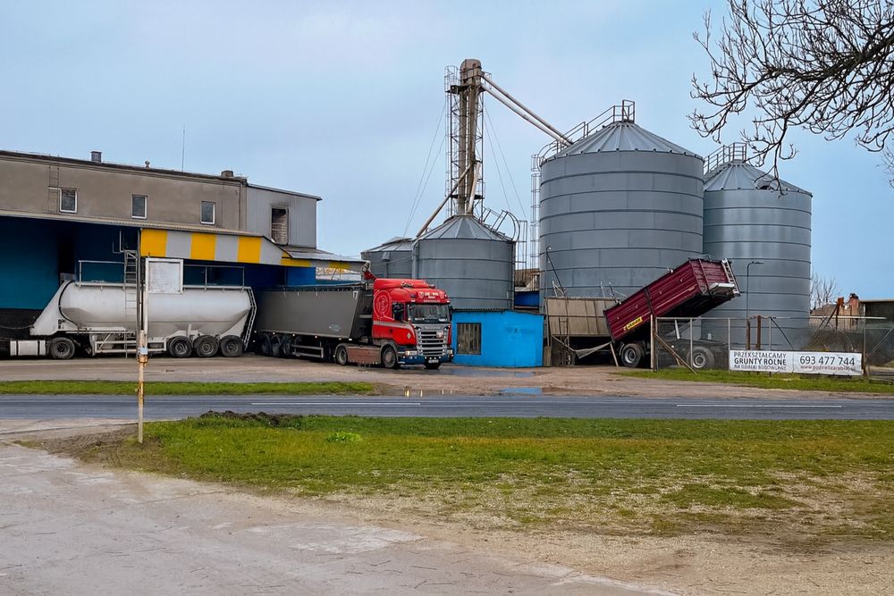 Młyn zbożowy pszenno-żytni - blisko autostrady A1/A2, waga i transport