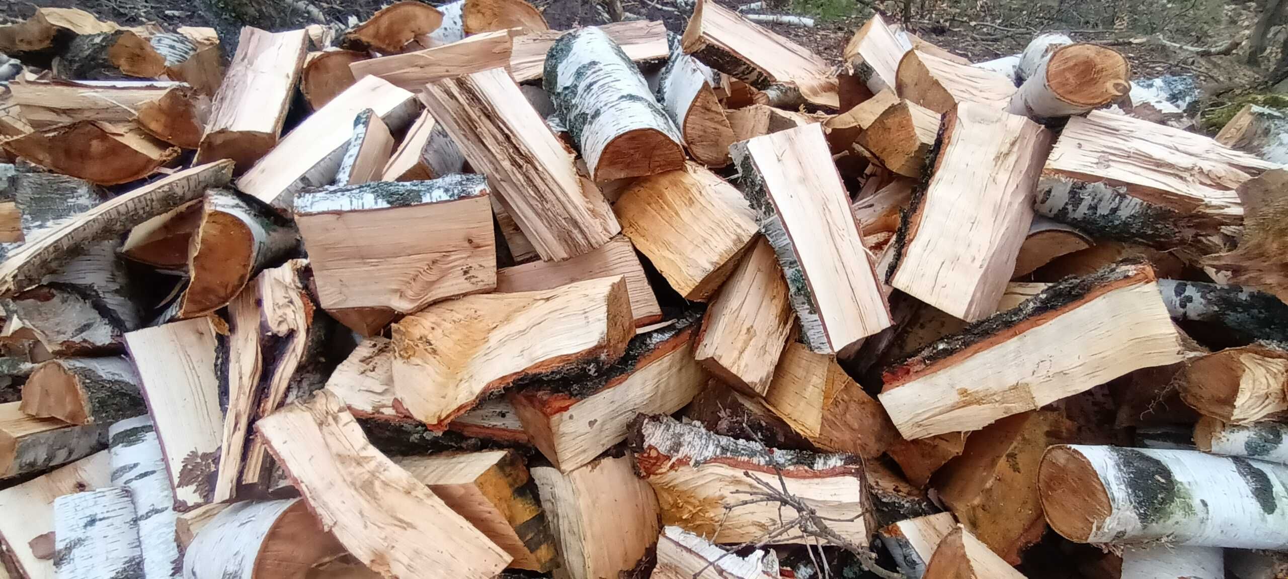 drewno kominkowe - brzoza