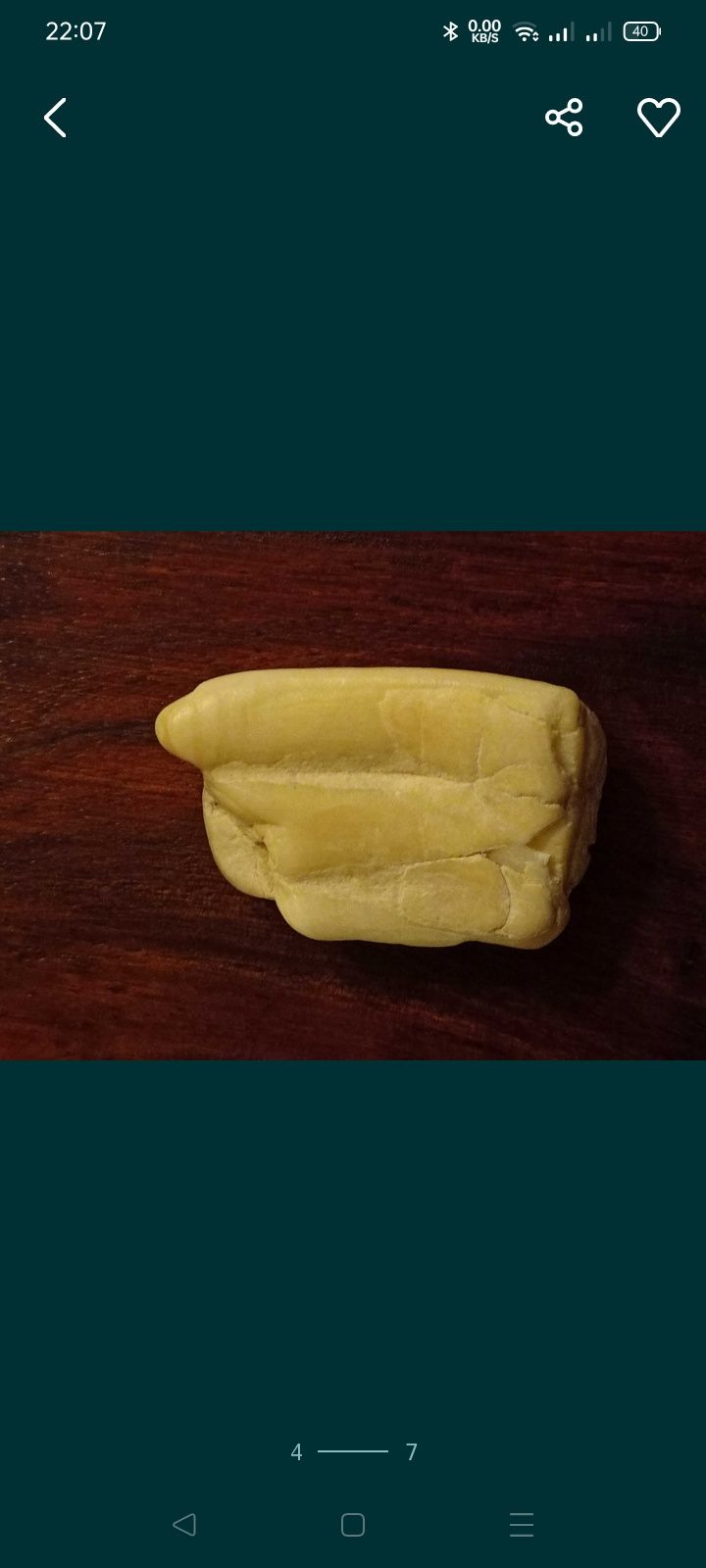 Skamieniałość !!
