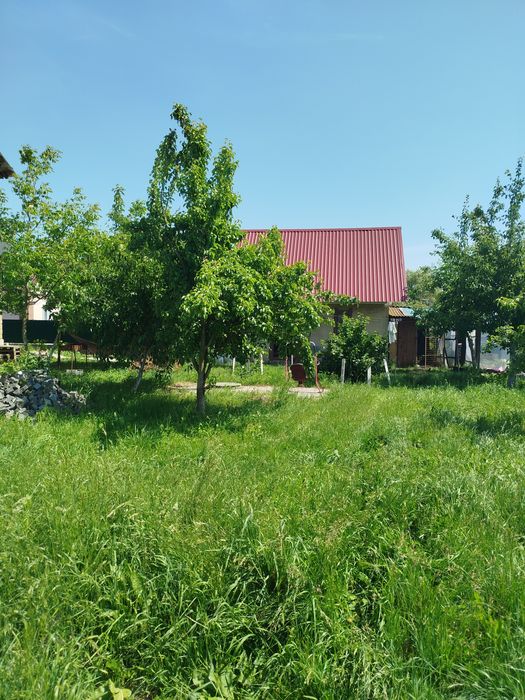 Продам 2 будинки..25 соток!!!