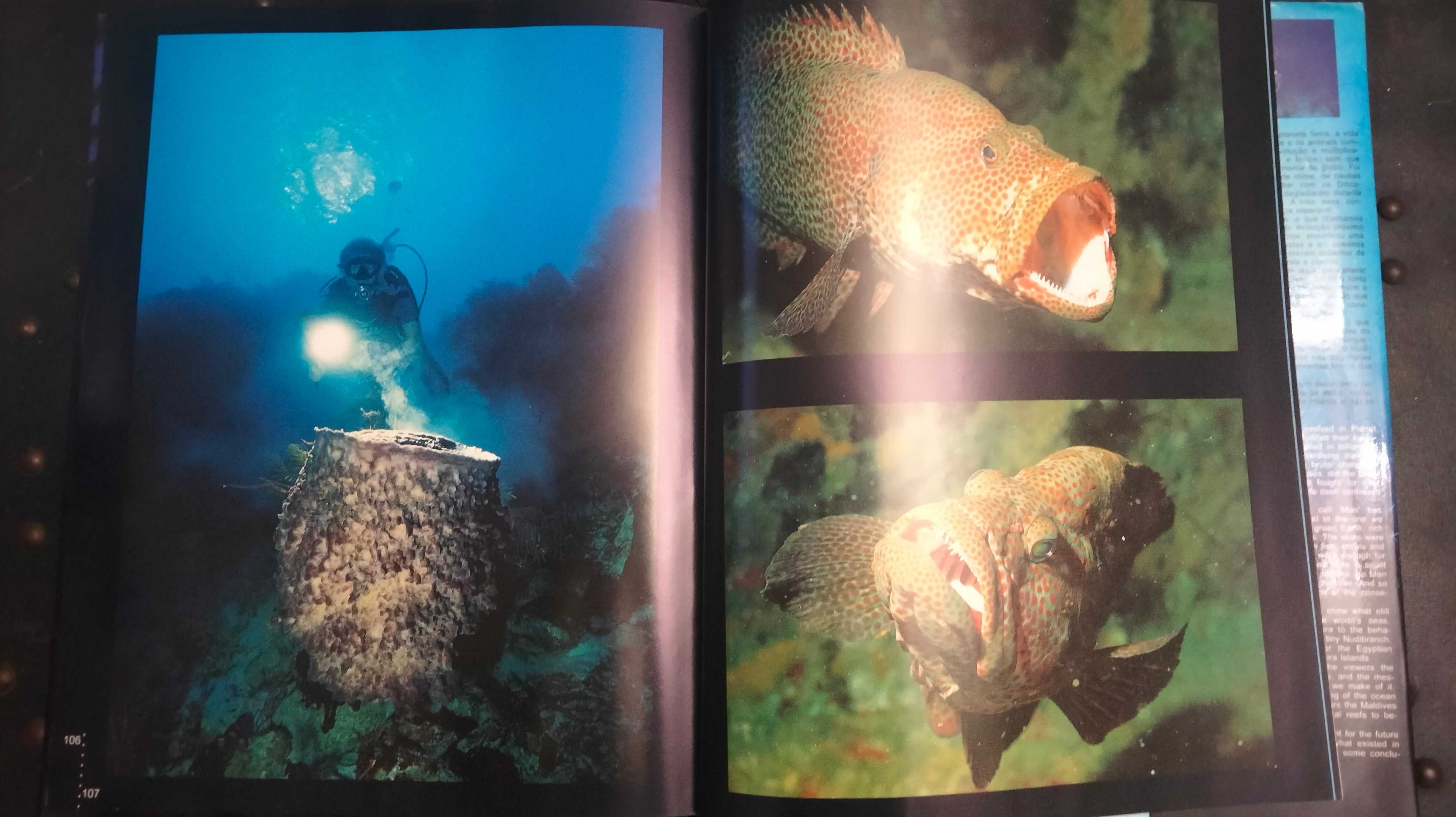 Livro Sete Mares