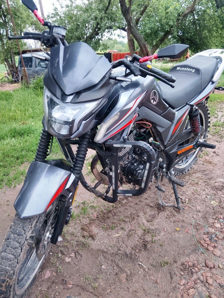 Продам мустанг фортуна 200
