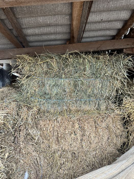 Сіно люцерни в тюках 2025 рік