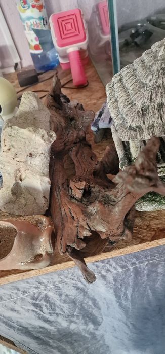 Acessórios de aquariofilia