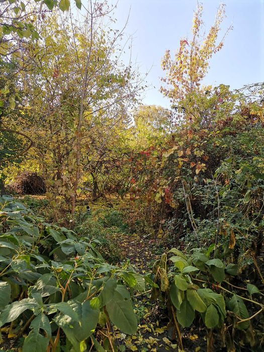 Помощь с поселением дом 3 ком.