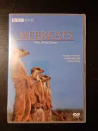 DVD Meerkats - Part of the team - Suricatas