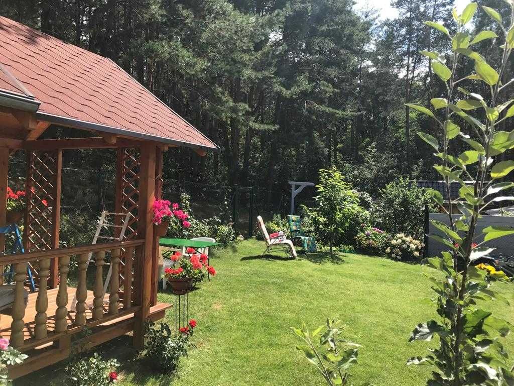 Domek letniskowy nad jeziorem Dominickim