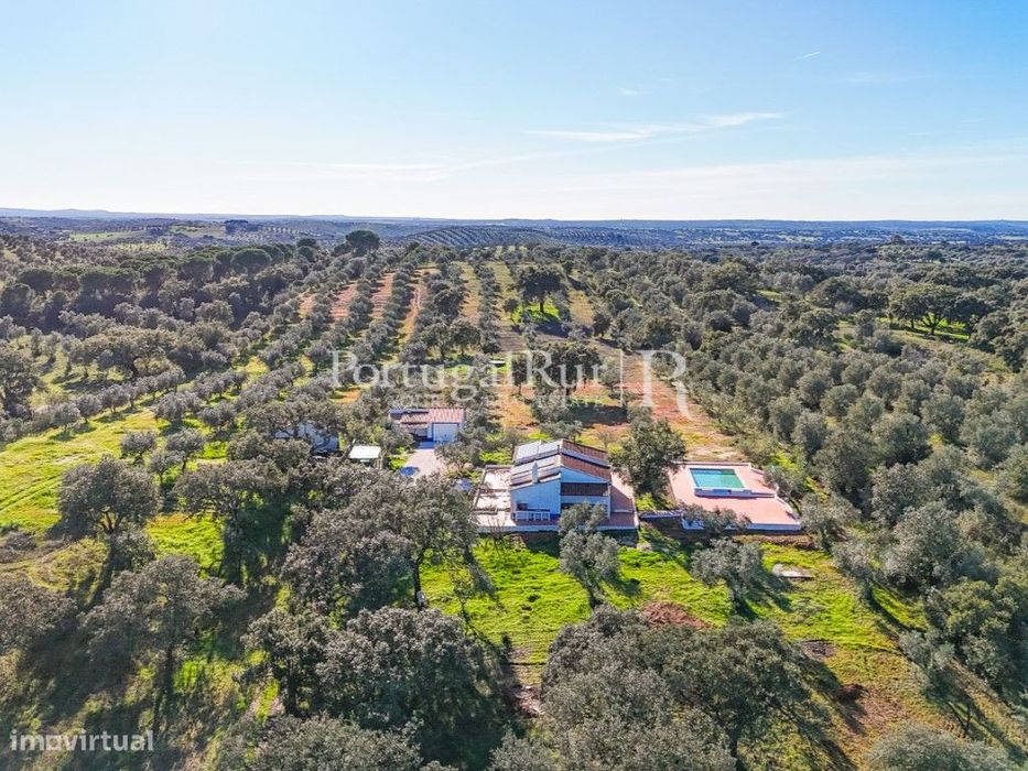 Refúgio Alentejano com Piscina e Energia Solar - Pavia | Mora
