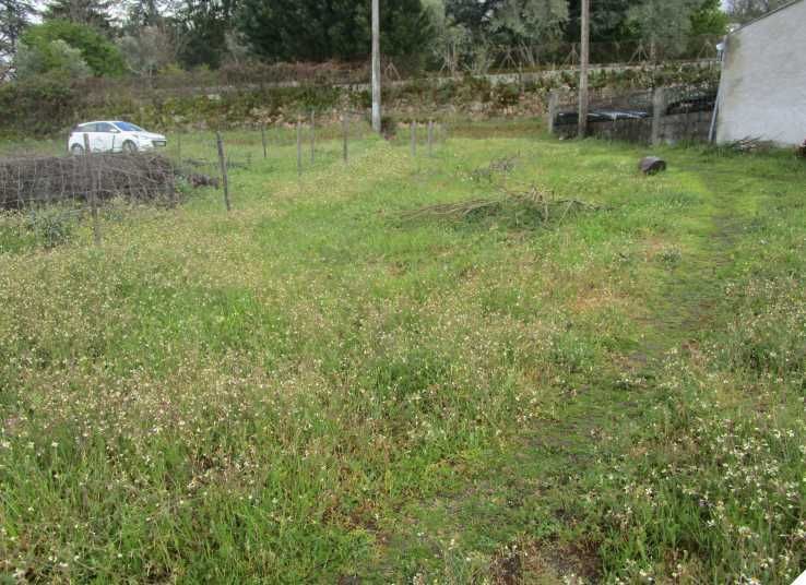 Terreno em Gouveia trocor por Casa em MANTA ROTA / ALTURA / Santa Cruz