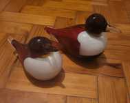 Patos em vidro DMG