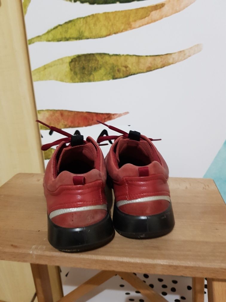 Ecco roz.35 Snickersy