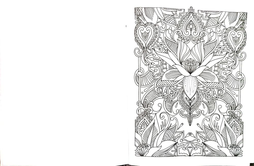 Colorir - Anti stress _ CROMOTERAPIA #28