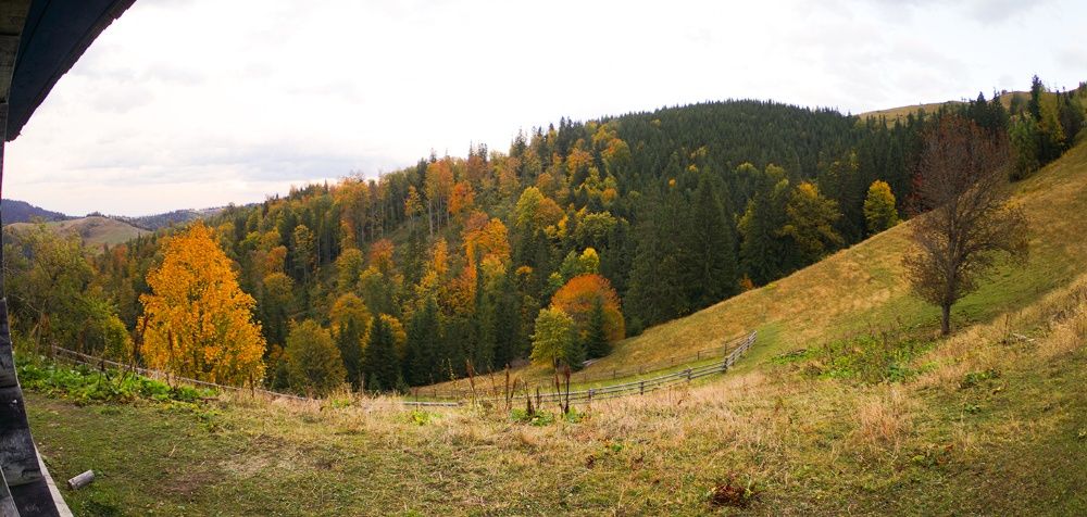 Продам Землю Карпаты Косовский район Ивано-Франковска область