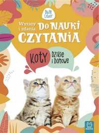 Wyrazy i zdania do nauki czytania Koty dzikie i.. - Agnieszka Bator