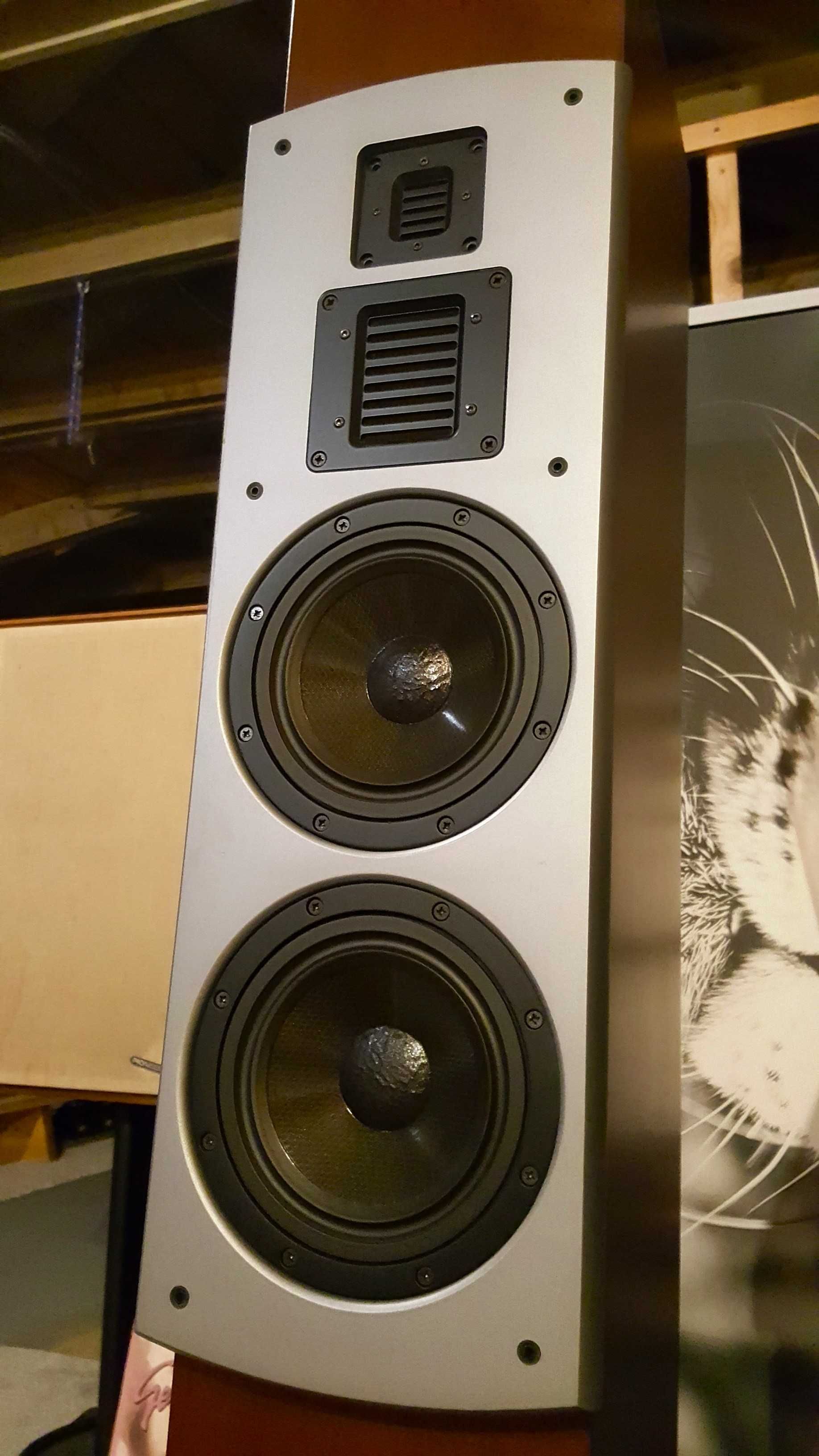 Adam ART Column Mk1 fenomenalny system nagłośnienia stereo