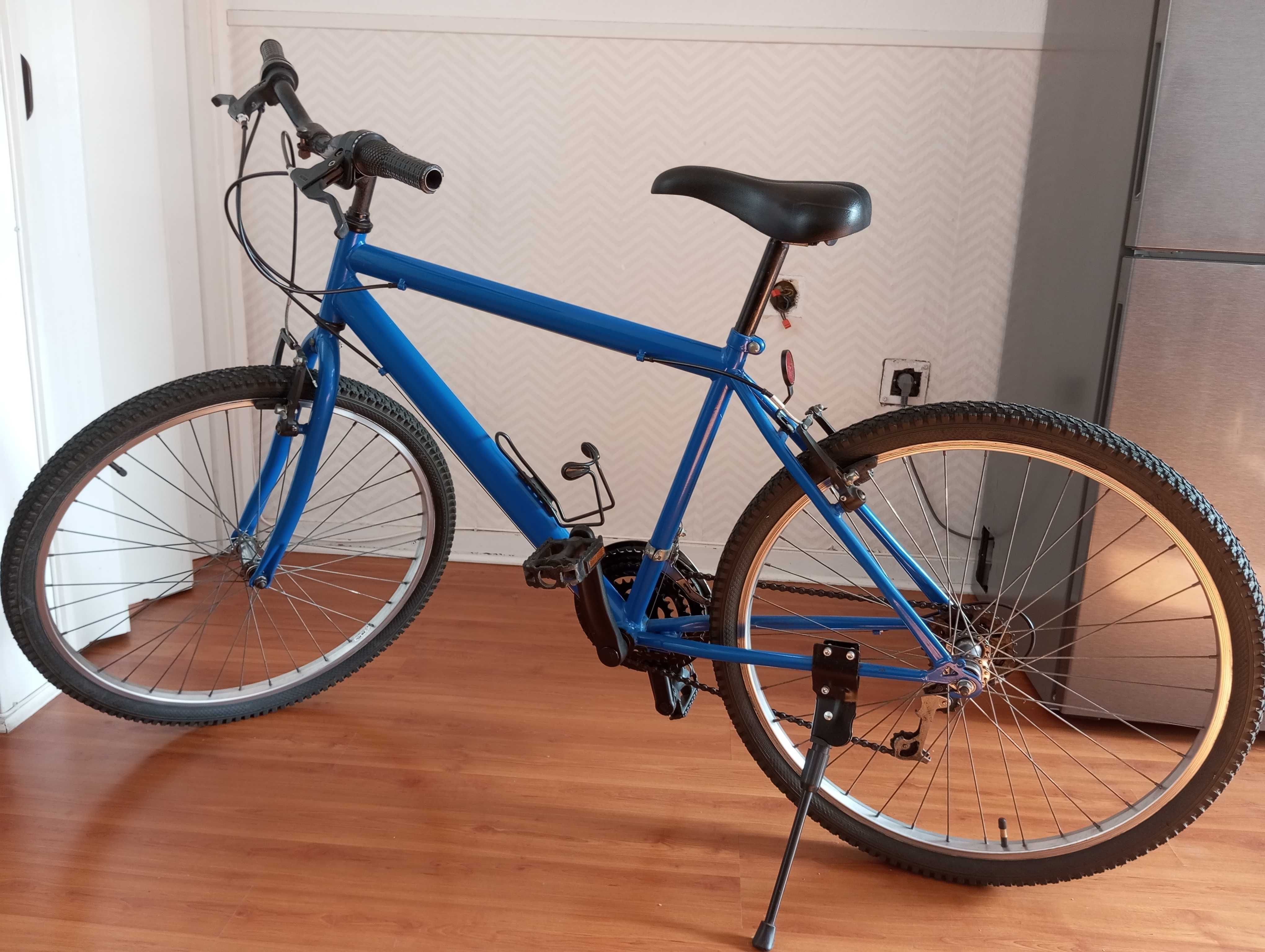 Bicicleta Adulto.