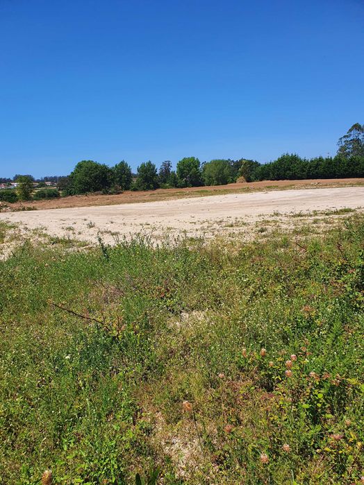 Terreno Agricola em Tougues