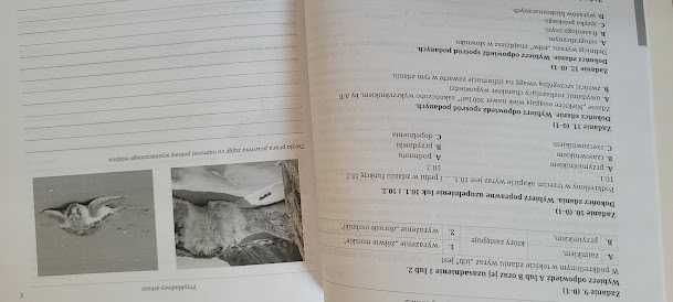 Sprawdzian szóstoklasisty 2016. Arkusze egzaminacyjne