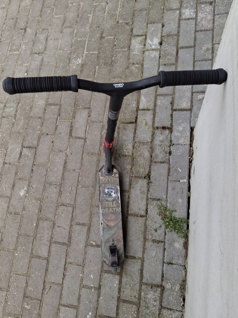Hulanoga zwykła/sporotwa