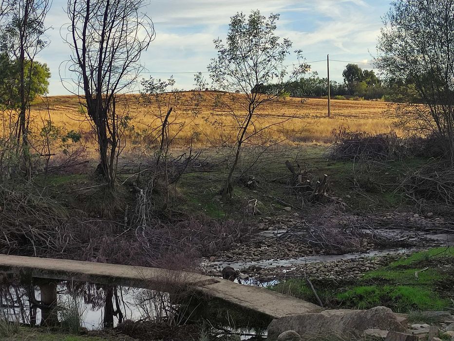 Quinta com 15 hectares