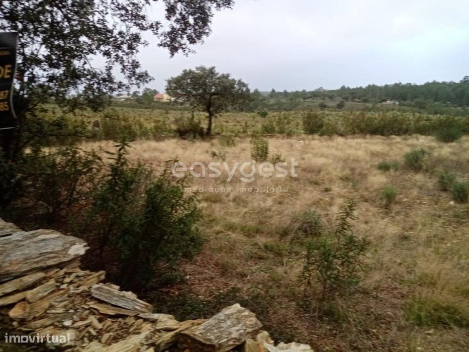Excelente Terreno Rústico na freguesia de Benquerencas , C. Branco