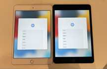 Ipad mini 4 a1538 icloud locked на запчастини