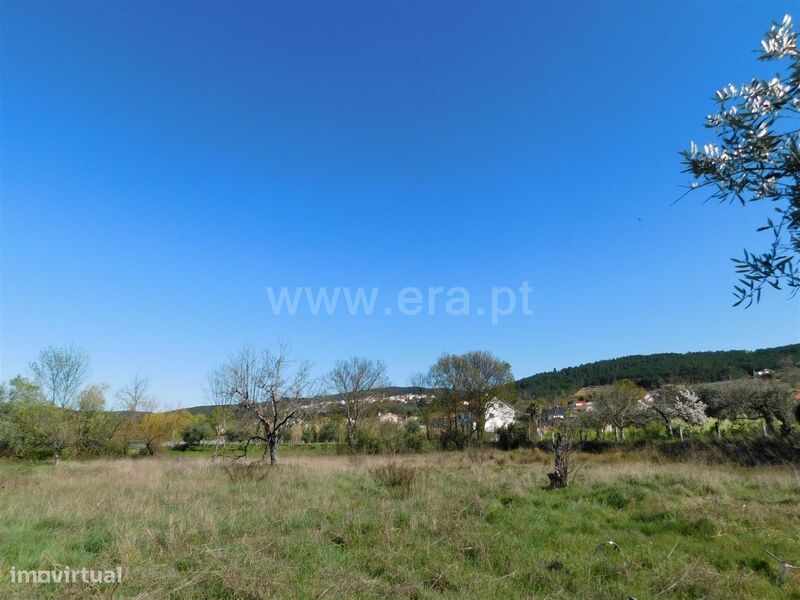 Terreno / Fundão, Donas