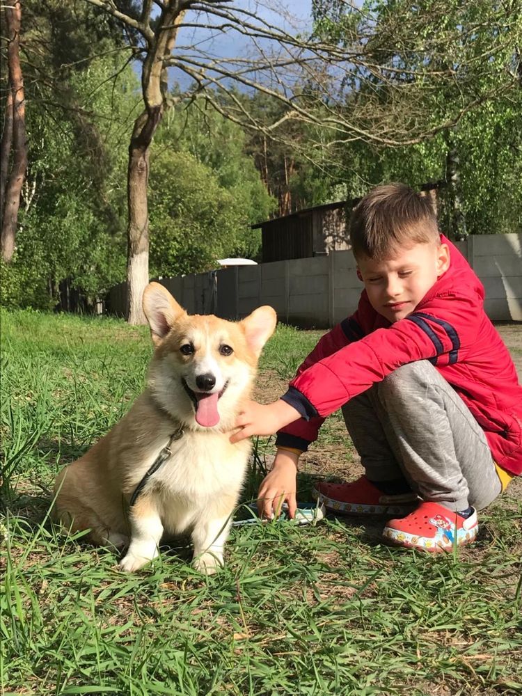 Подросток девочка для выставок и  розведения