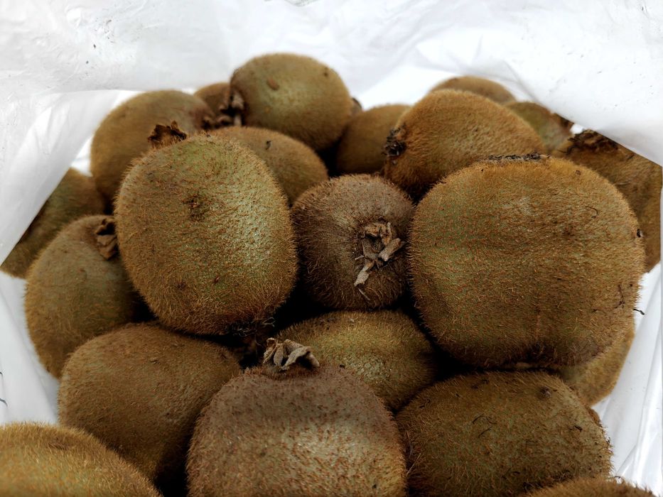 Kiwis de boa qualidade