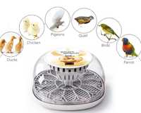 Inkubator do jaj papug i ptaków.