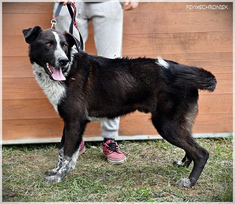 Sajgon: jego energia Ci się udzieli!